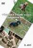 DVD Výchvoa a výcvik loveckých psů